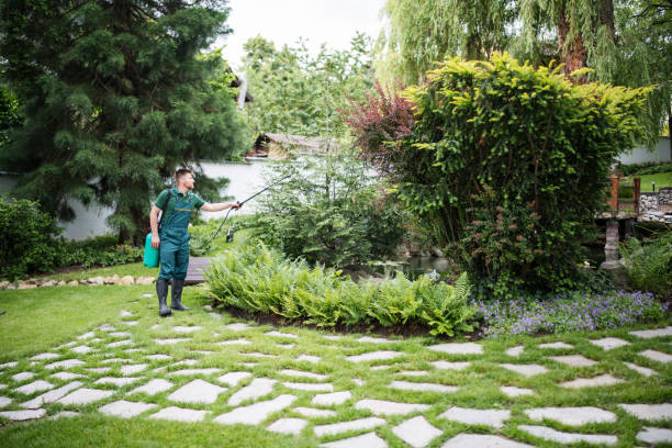 Best Pest Inspection Near Me  in Murfreesboro, AR