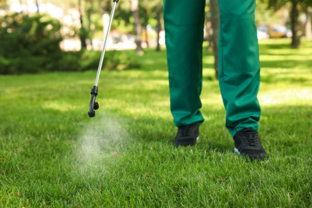Professional Pest Control in Murfreesboro, AR