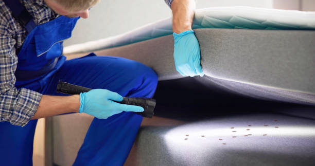 Best Pest Control for Businesses  in Murfreesboro, AR