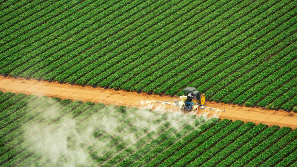Reliable Murfreesboro, AR Pest Control Solutions