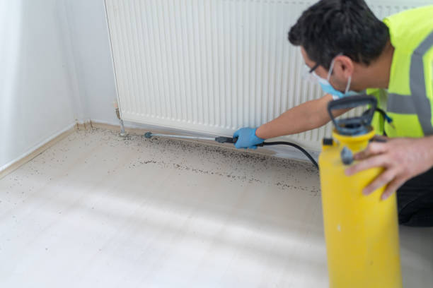 Best Pest Removal Services  in Murfreesboro, AR